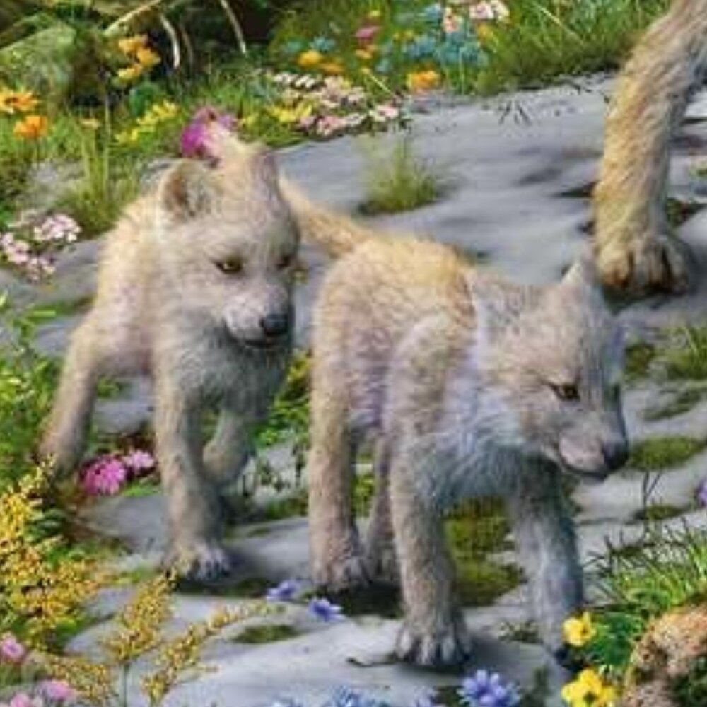 Ravensburger 1500pcs Puzzle-Wolves In Spring | Adult Puzzles New In Box - Picture 8 of 16